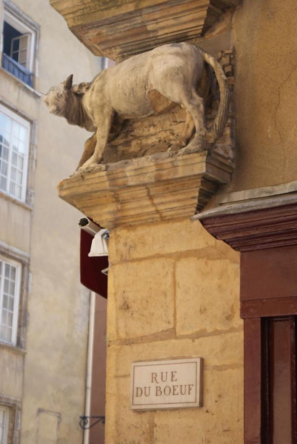 Gite l'Outarde Lione Esterno foto